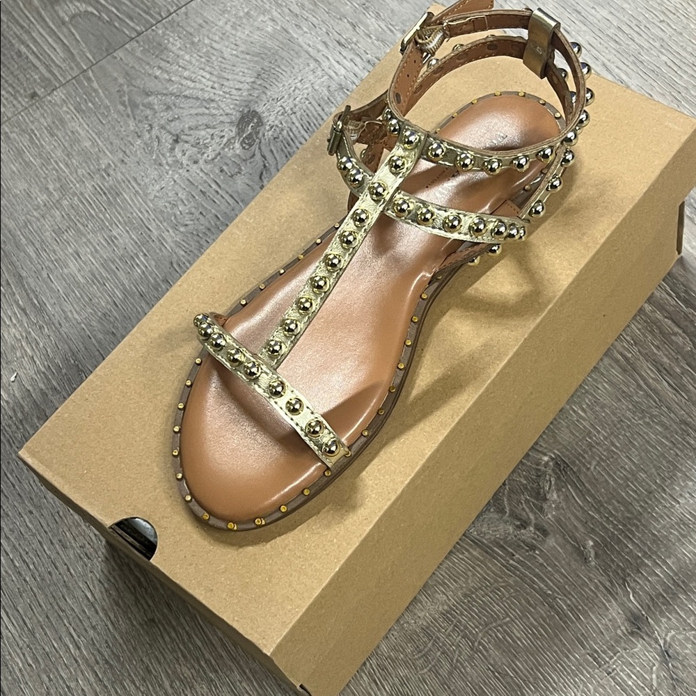 Studded T-Strap Gladiator Sandals in Metallic Gold